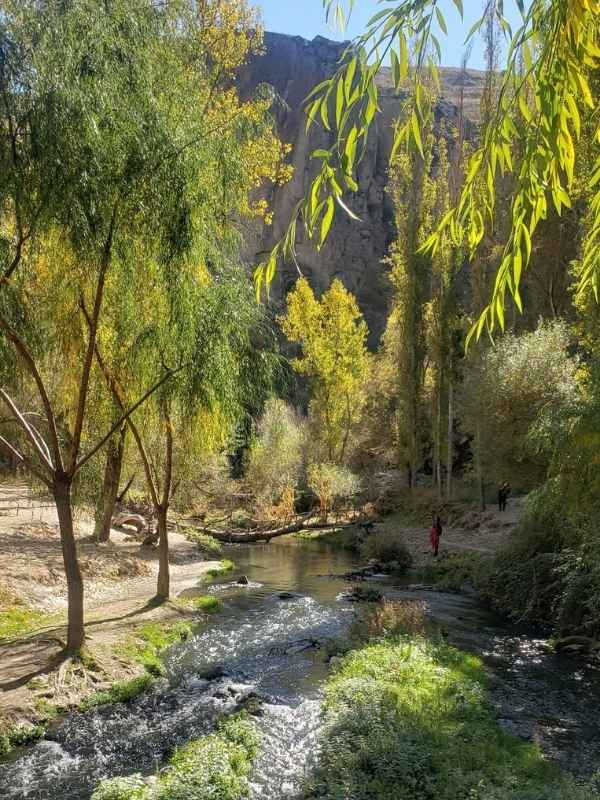 Small-Group Green Tour (South) – GetYourGuide